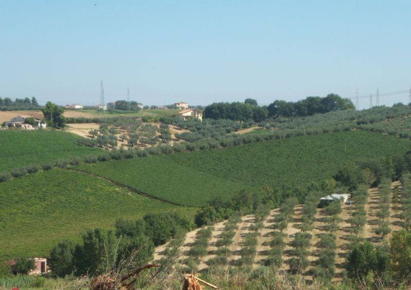 Terreno a Pianella in Viale Papa Giovanni XXIII - Foto 2