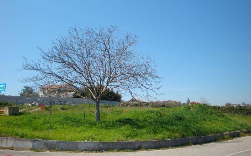 Terreno a Pianella in Viale Papa Giovanni XXIII - Foto 5