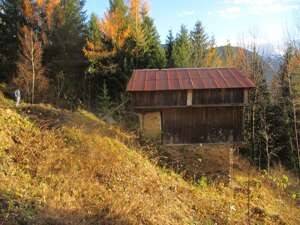 Rustico / casale a Santo stefano di cadore - Foto 4