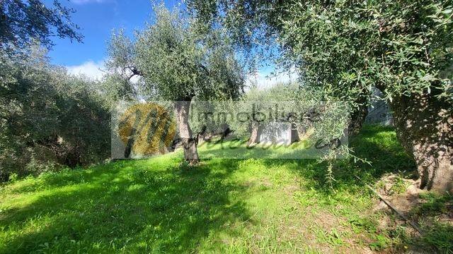 Terreno a Camporosso in Via Maure - Foto 3