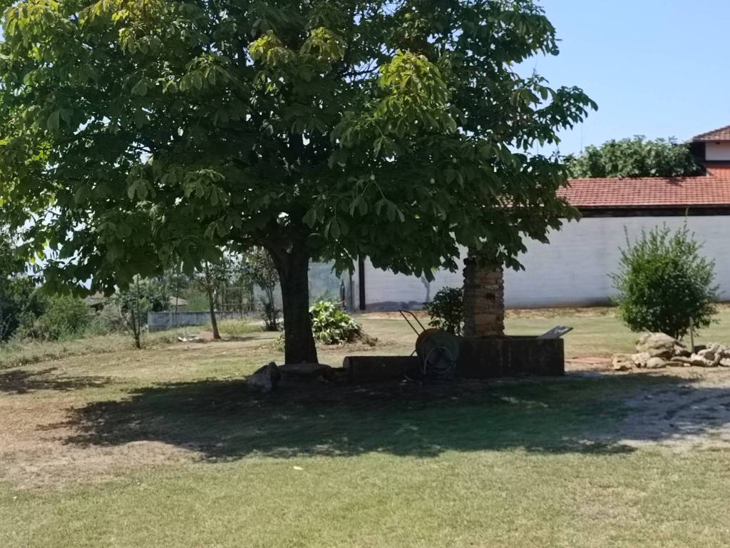 Rustico / casale a Magliano alpi in Via Langhe - Foto 4