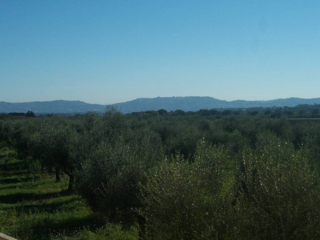 Villetta a schiera a Nocciano in Contrada Casali - Foto 5