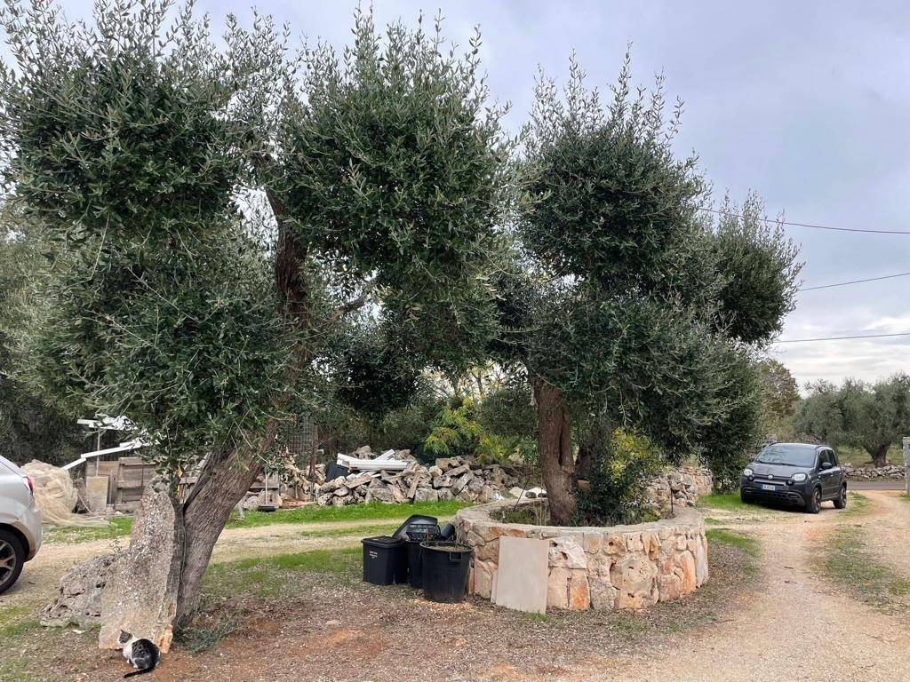 Villa a Ceglie messapica in Contrada fedele piccolo - Foto 3