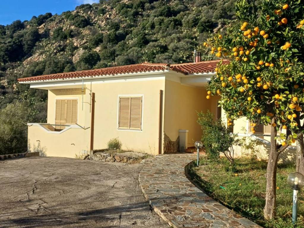 Villa a Lodè - Foto 2