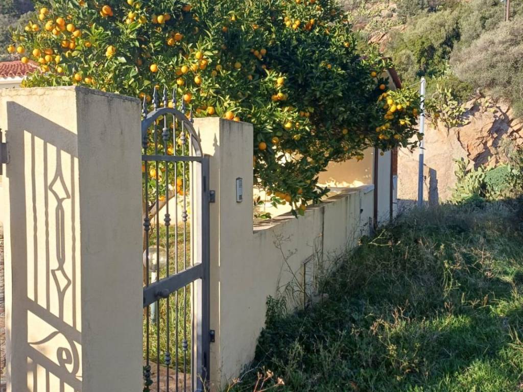 Villa a Lodè - Foto 4