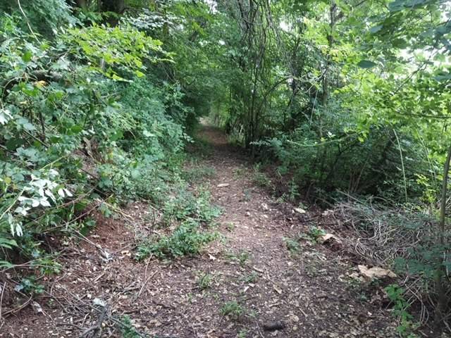 Terreno a San zeno di montagna in Via Val del Sengel - Foto 2