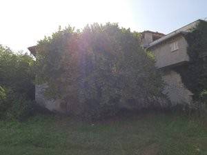 Casa indipendente a Morro reatino in Via Collatea, 18 - Foto 2