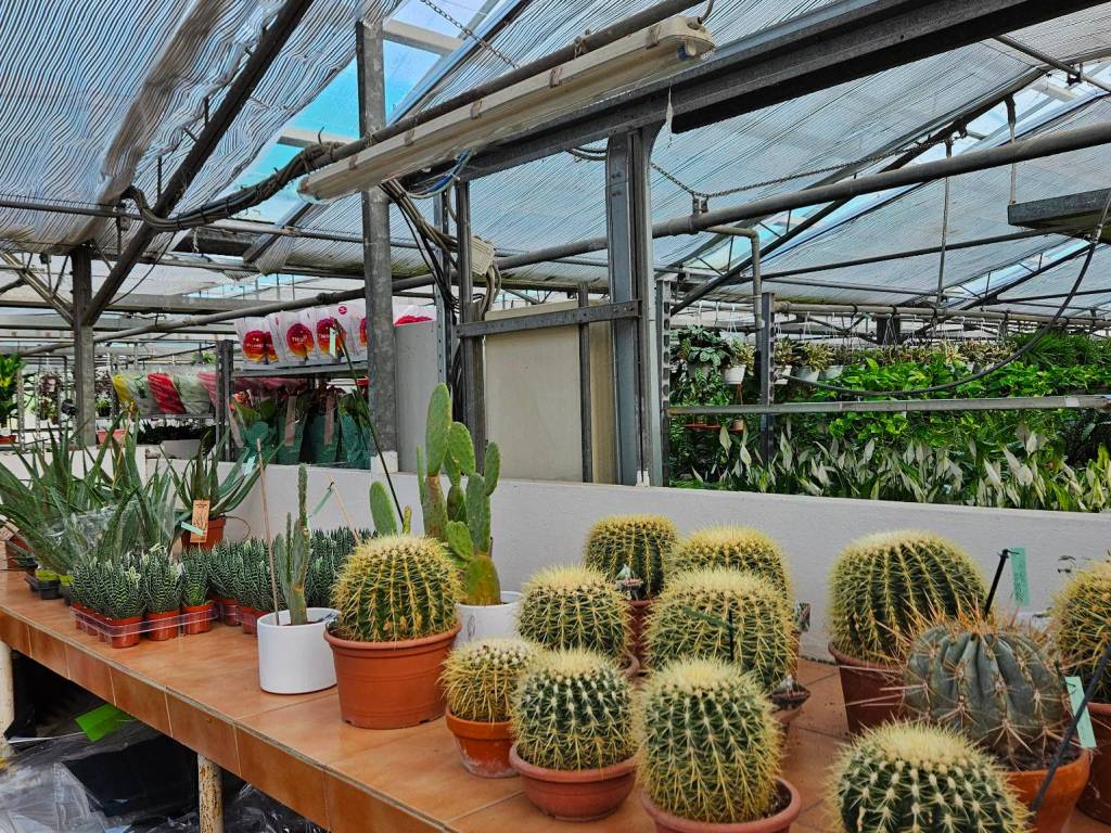 Immobile a Piacenza - Foto 2