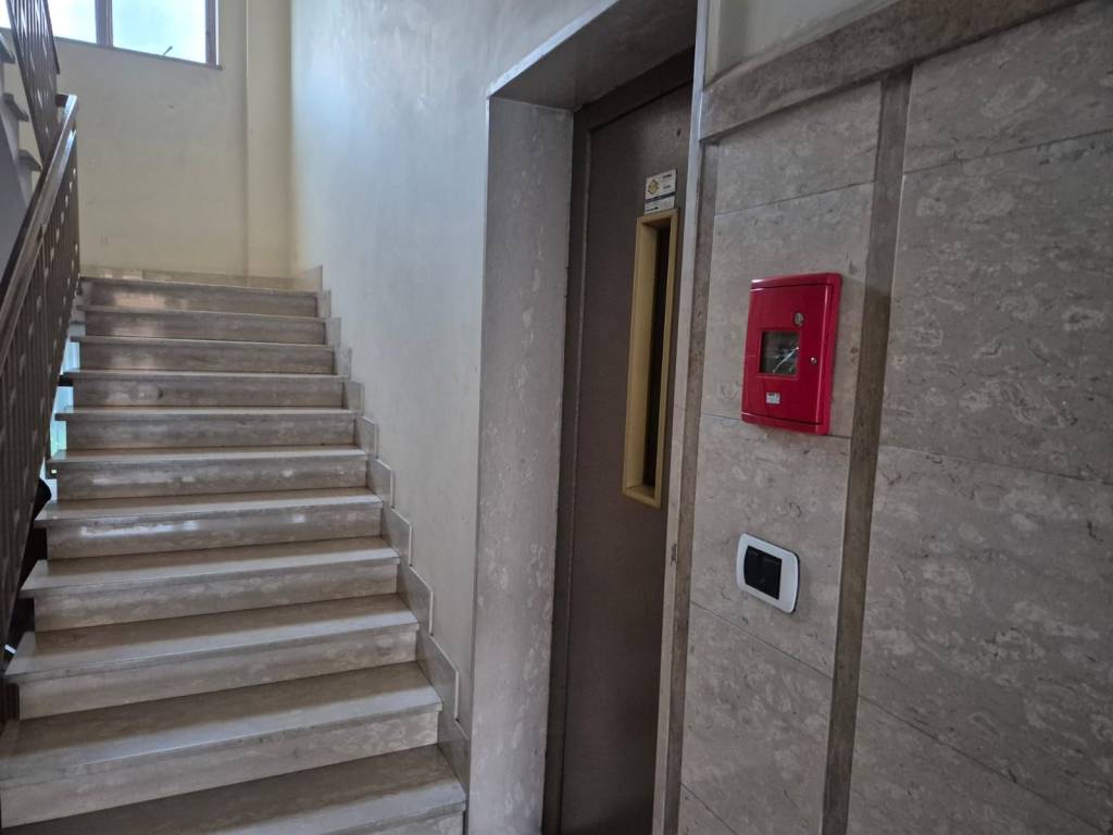 Immobile a Frosinone in Via Pietro Mascagni - Foto 3