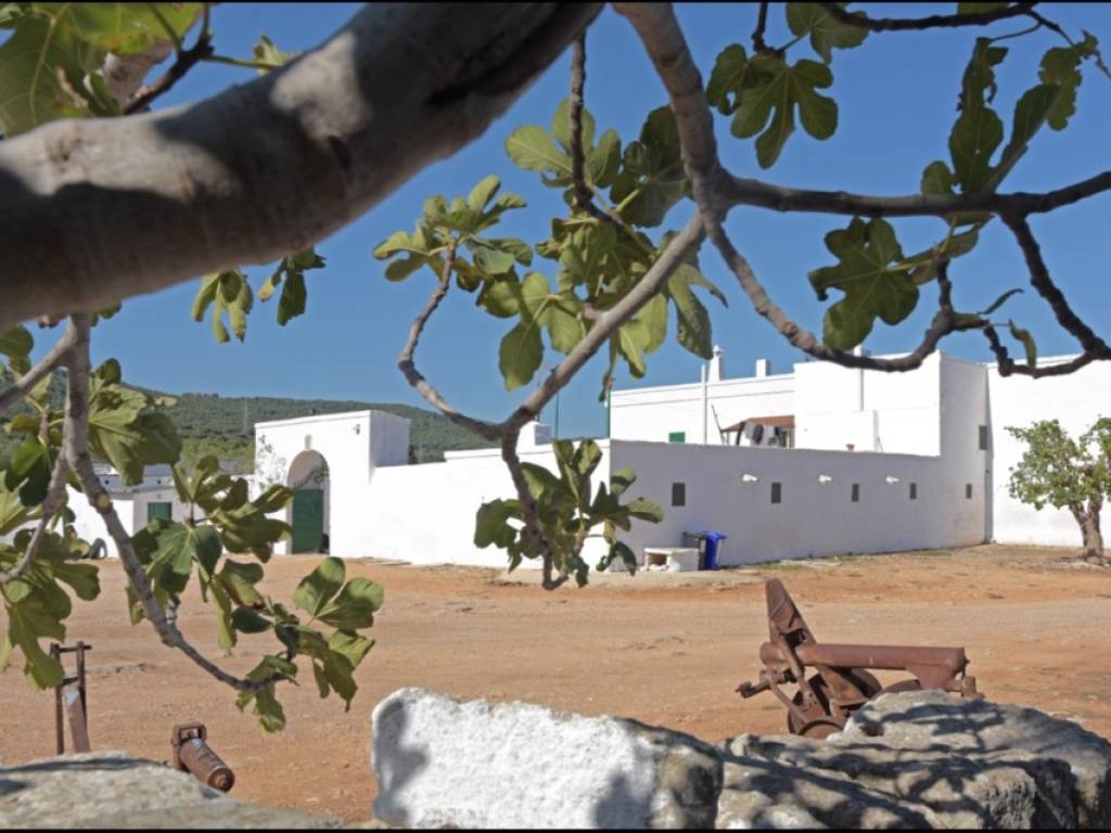 Rustico / casale a Ostuni in SS16 - Foto 4