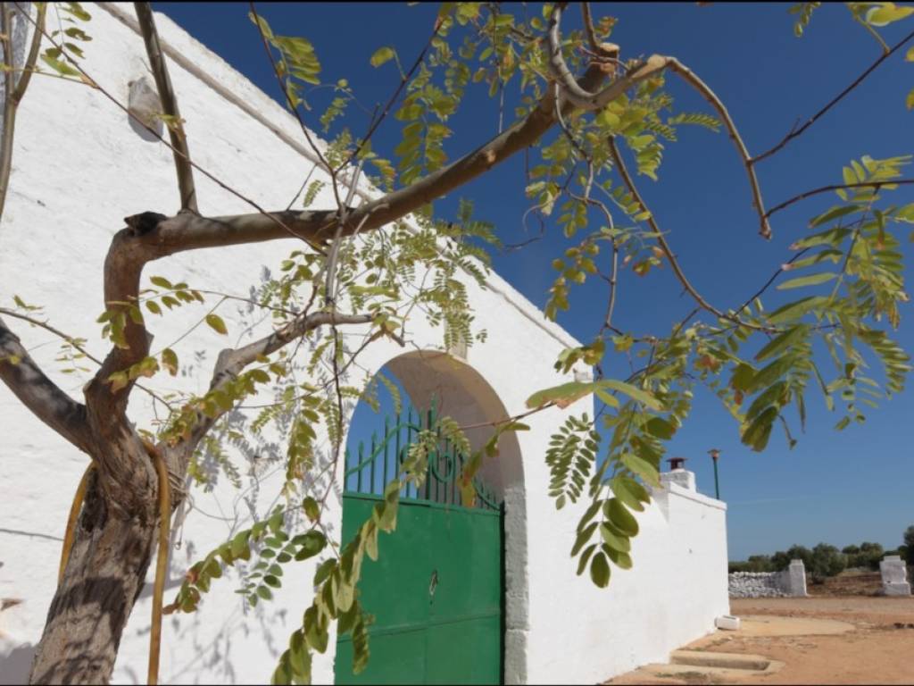 Rustico / casale a Ostuni in SS16 - Foto 5