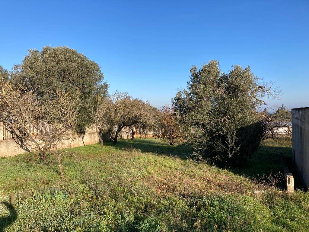 Villa a Ceglie messapica in Contrada Frutto - Foto 5