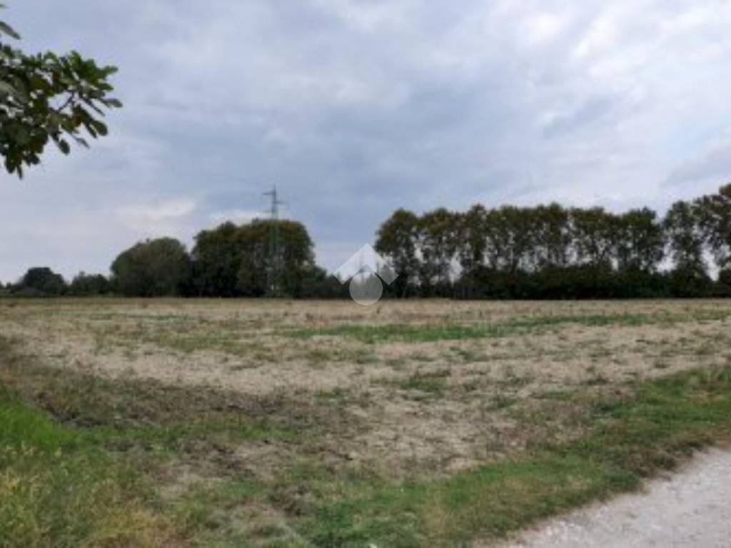 Terreno a Buttapietra - Foto 3