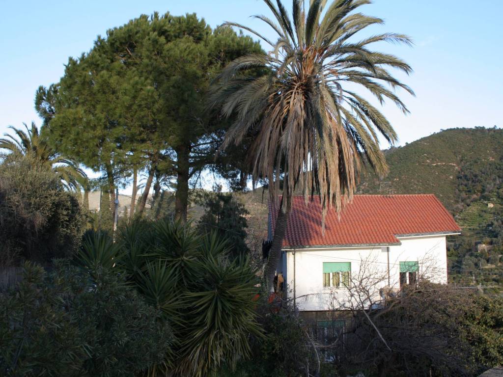 Villa a Bordighera - Foto 2