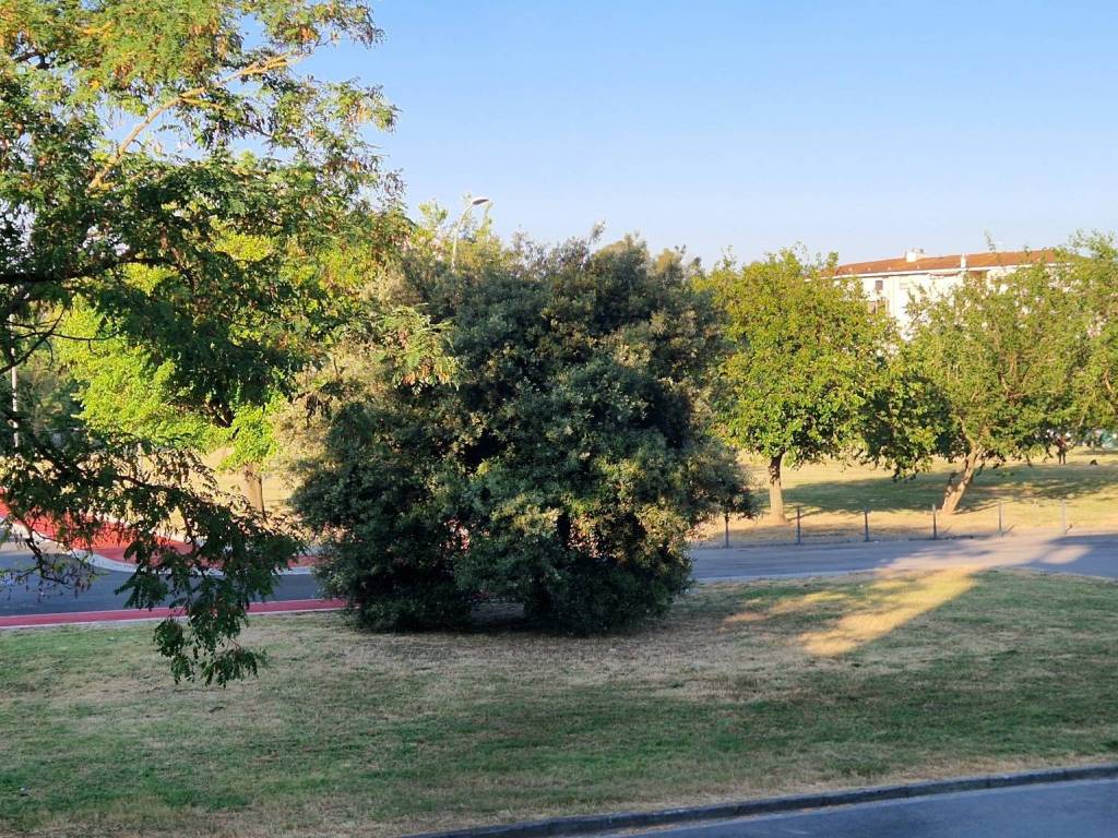 Appartamento a Pisa in Largo Ferruccio Giovannini, 1 - Foto 5
