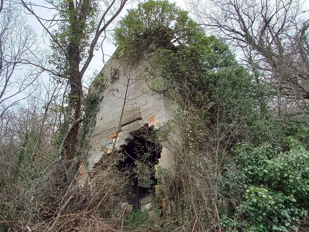 Rustico / casale a Albenga - Foto 2