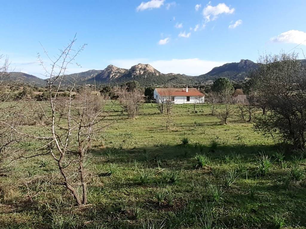 Terreno a Loiri porto san paolo in Via L'Aldiola - Foto 3