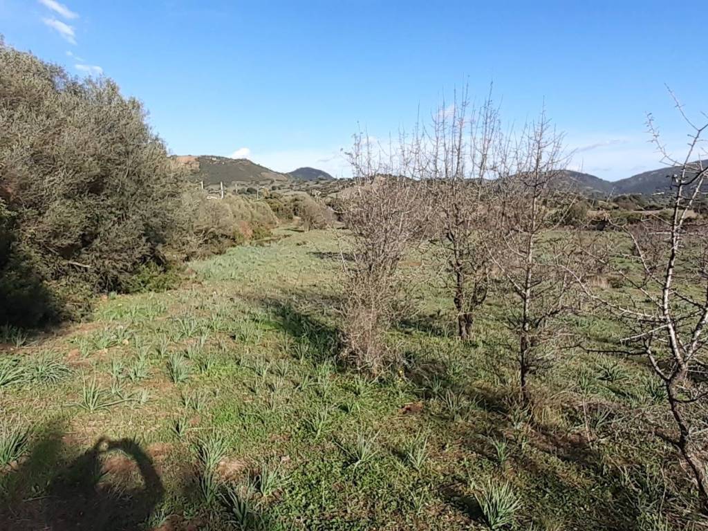 Terreno a Loiri porto san paolo in Via L'Aldiola - Foto 4