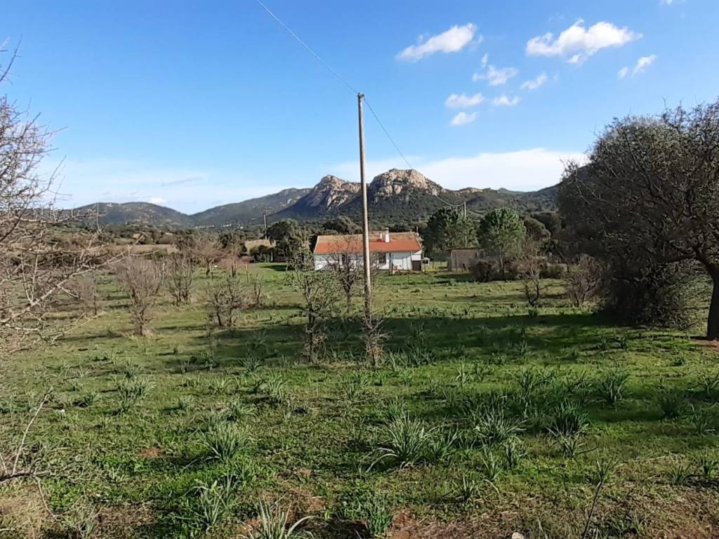 Terreno a Loiri porto san paolo in Via L'Aldiola - Foto 5