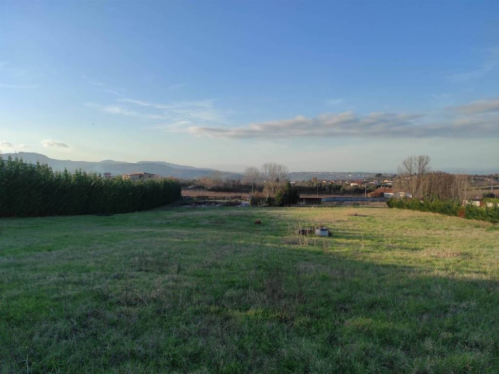 Terreno a Taurasi in Strada Provinciale 57 - Foto 2