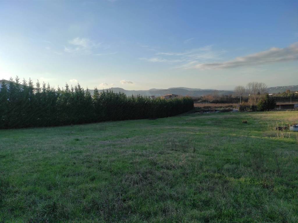 Terreno a Taurasi in Strada Provinciale 57 - Foto 3