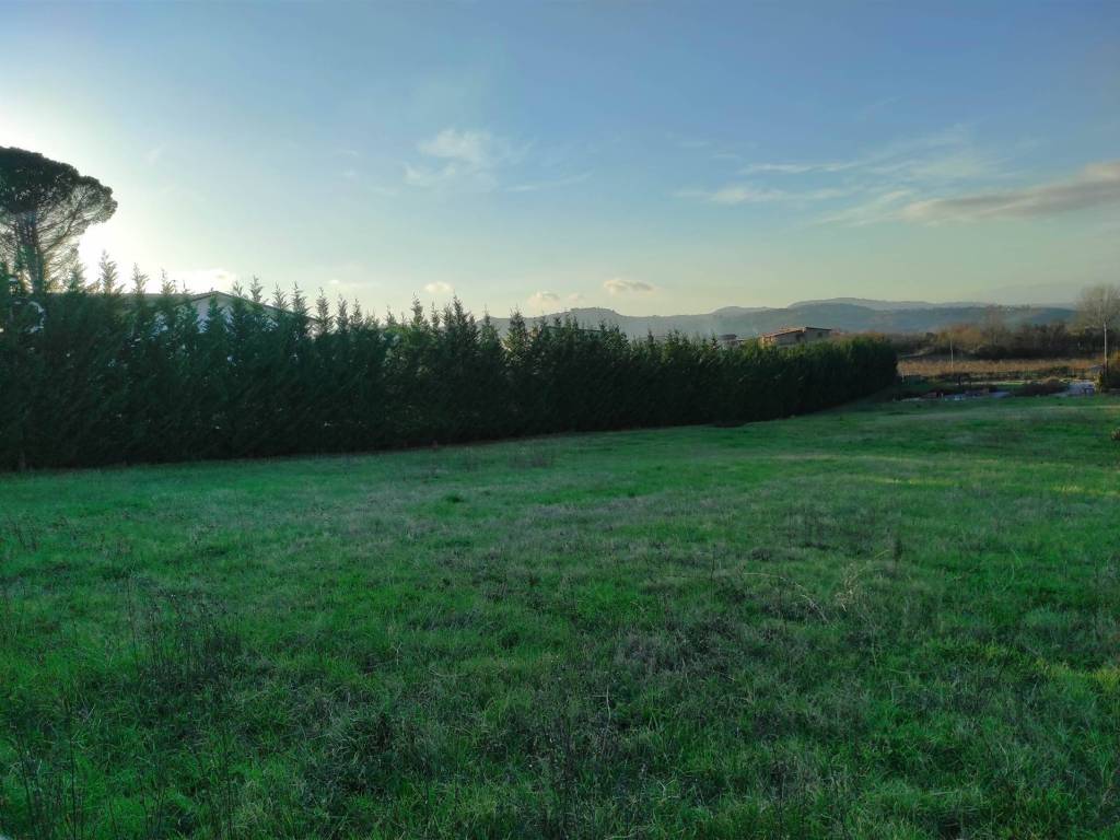 Terreno a Taurasi in Strada Provinciale 57 - Foto 4