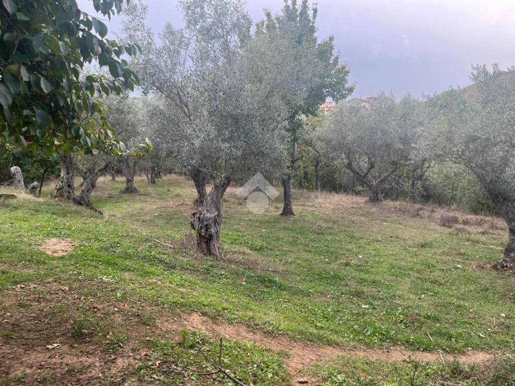 Immobile a Cosenza in Via SP217 - Foto 4