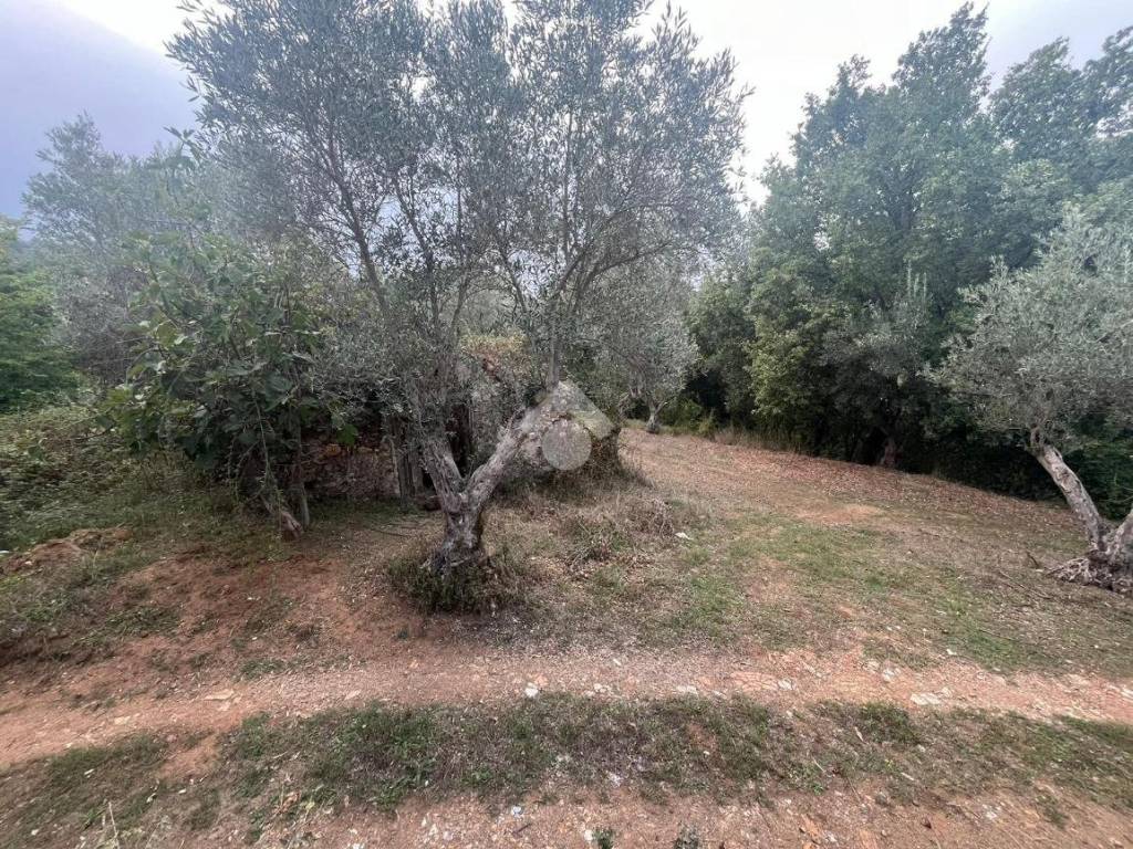 Immobile a Cosenza in Via SP217 - Foto 5