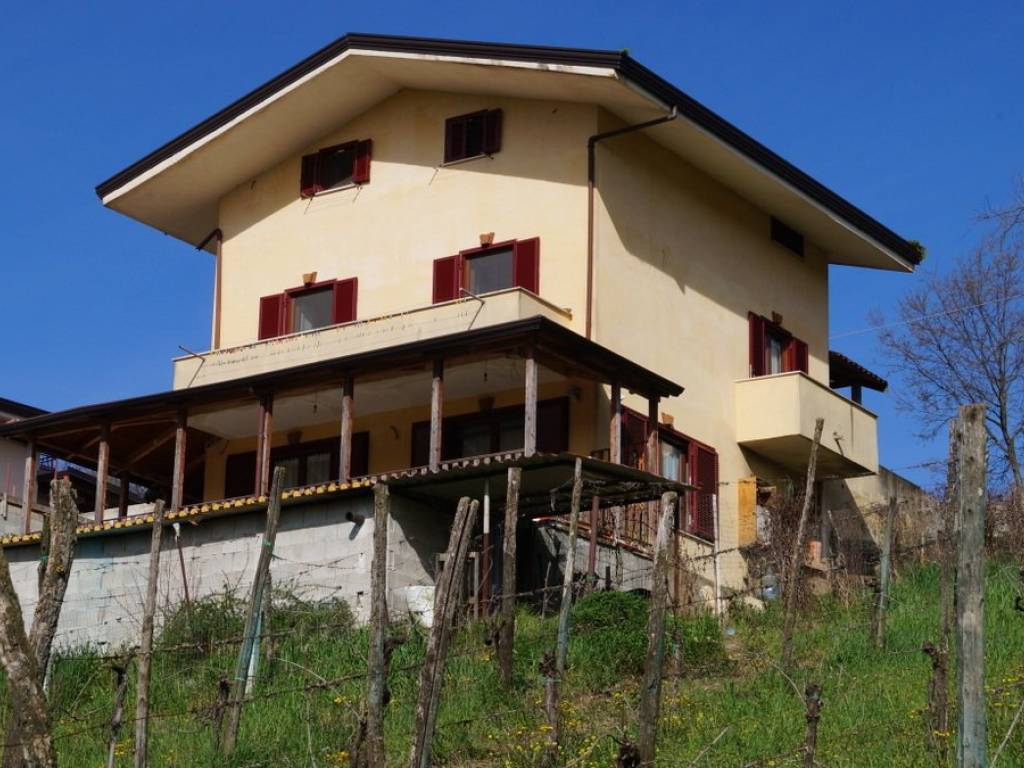 immagine di copertina