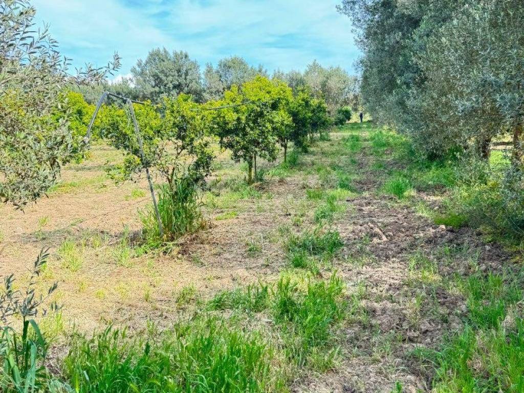 Terreno a Monastir in Strada Comunale Tuppa Cifraxiu - Foto 2