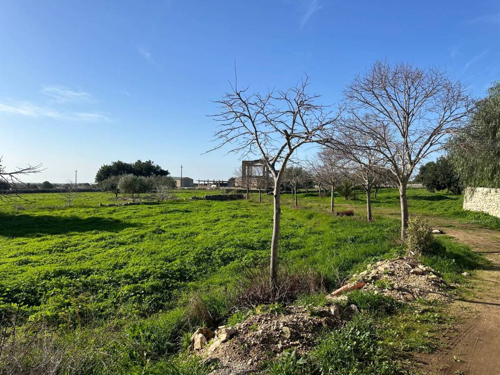 Rustico / casale a Modica in Strada Provinciale 45 - Foto 5