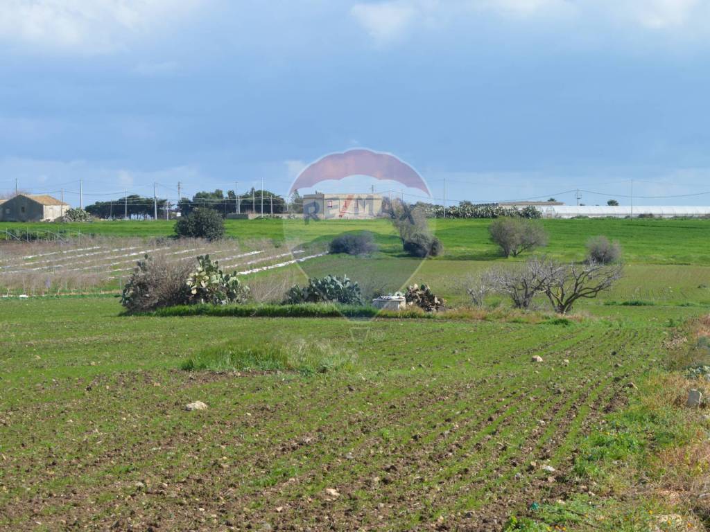 Terreno a Pachino in Contrada Cozzo Croce - Foto 3