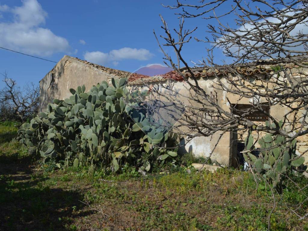 Terreno a Pachino in Contrada Cozzo Croce - Foto 5