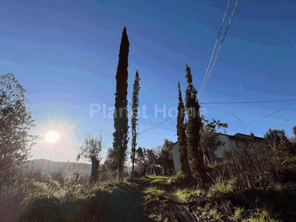 Rustico / casale a Amelia - Foto 2