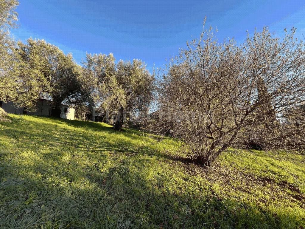 Rustico / casale a Amelia - Foto 5