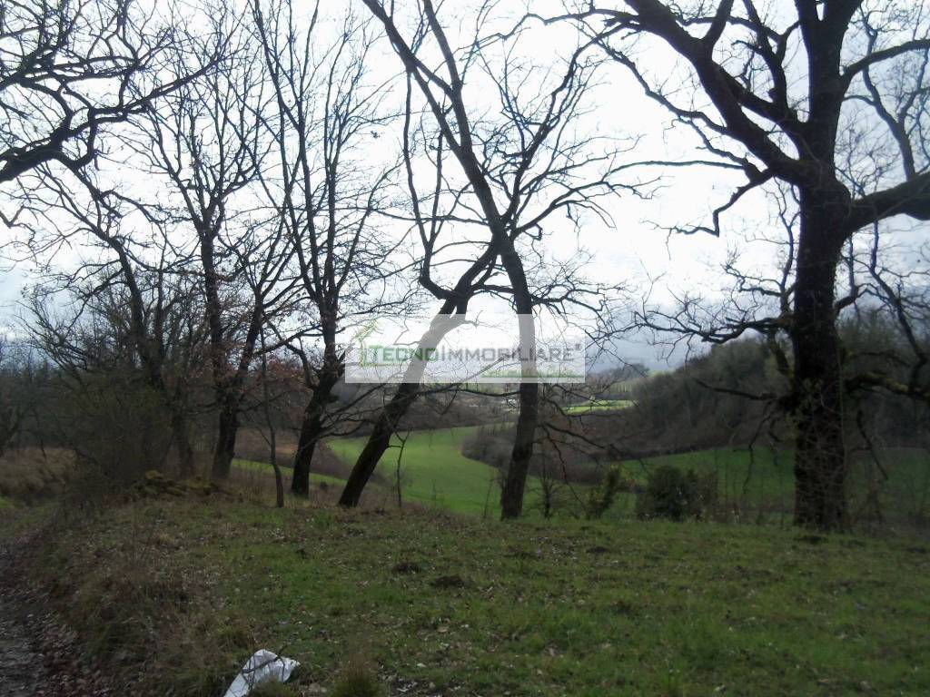 Rustico / casale a Aquino - Foto 3