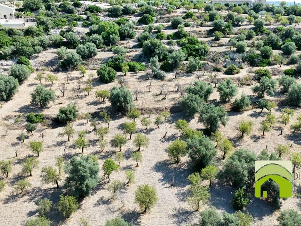 Terreno a Noto in Strada Statale Sud Occidentale Sicula - Foto 2