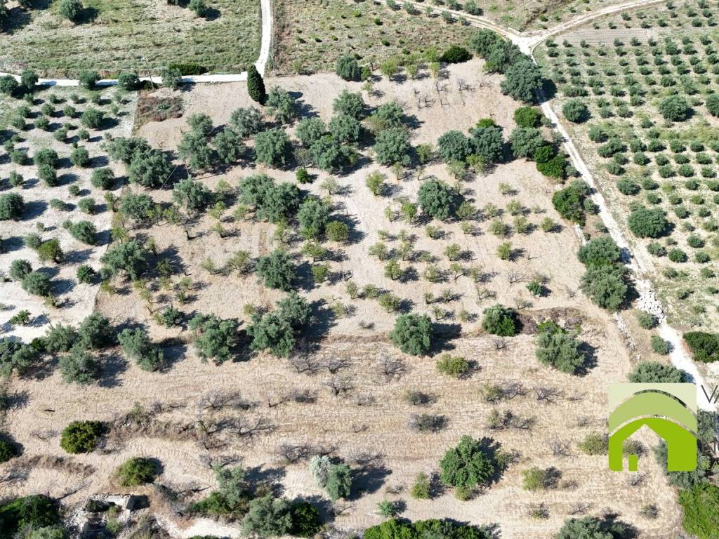 Terreno a Noto in Strada Statale Sud Occidentale Sicula - Foto 3