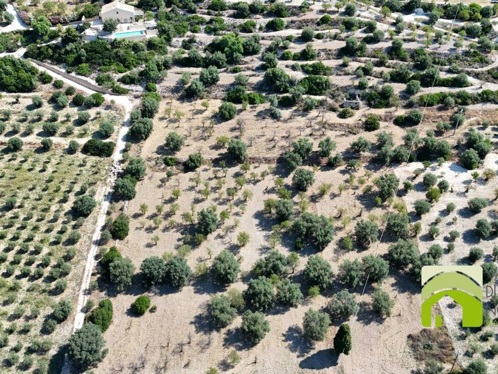 Terreno a Noto in Strada Statale Sud Occidentale Sicula - Foto 4