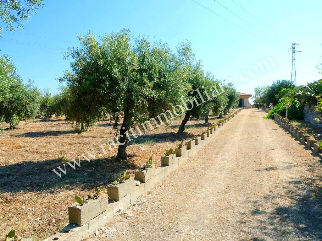 Villa a Pozzallo in Strada Provinciale Pozzallo Modica - Foto 5