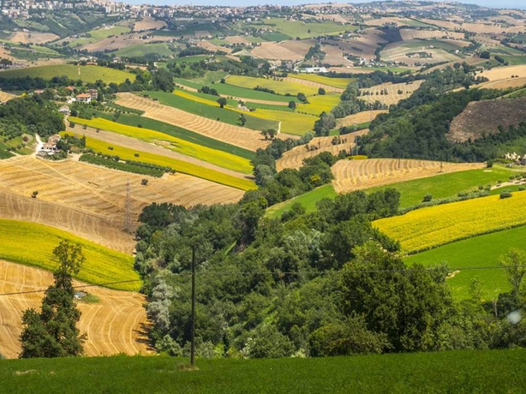 Rustico / casale a Spinetoli - Foto 3