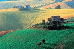 Rustico / casale a Spinetoli - Foto 4