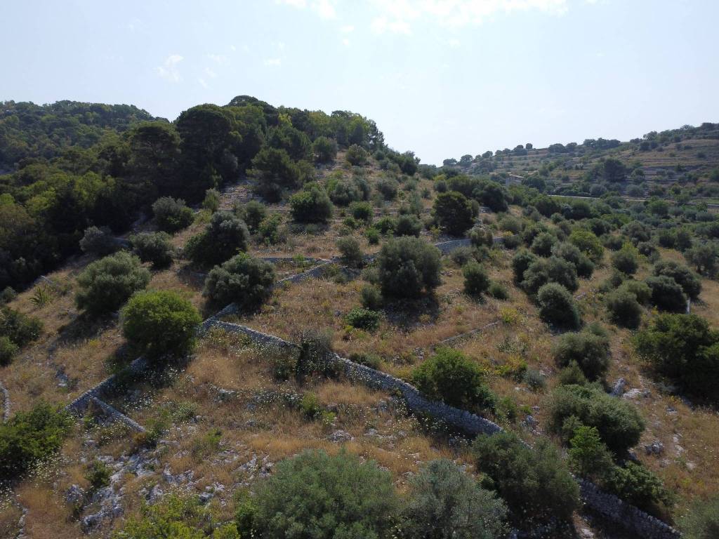 Rustico / casale a Modica in SP28 - Foto 4