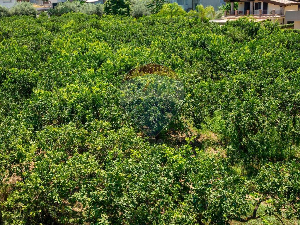 Terreno a Taormina in via dei gladioli, 28 - Foto 5