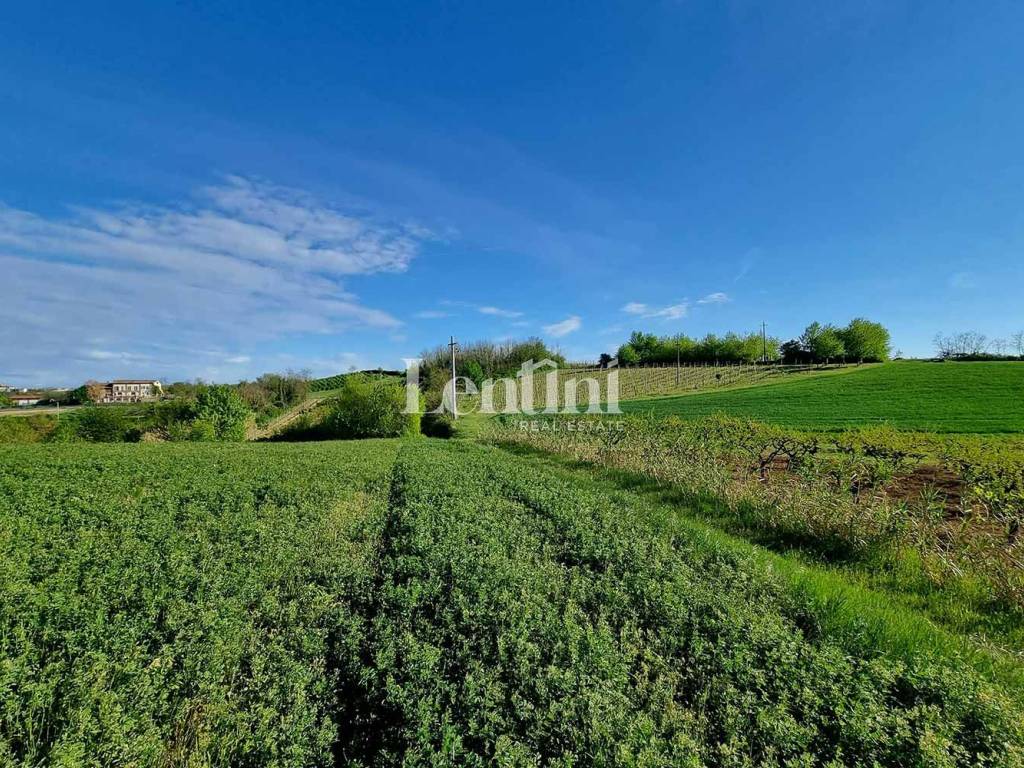 Terreno a Camagna monferrato in Via Rocca, 3 - Foto 3