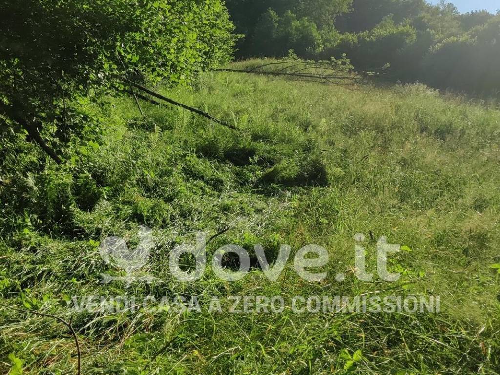 Rustico / casale a Taleggio - Foto 3