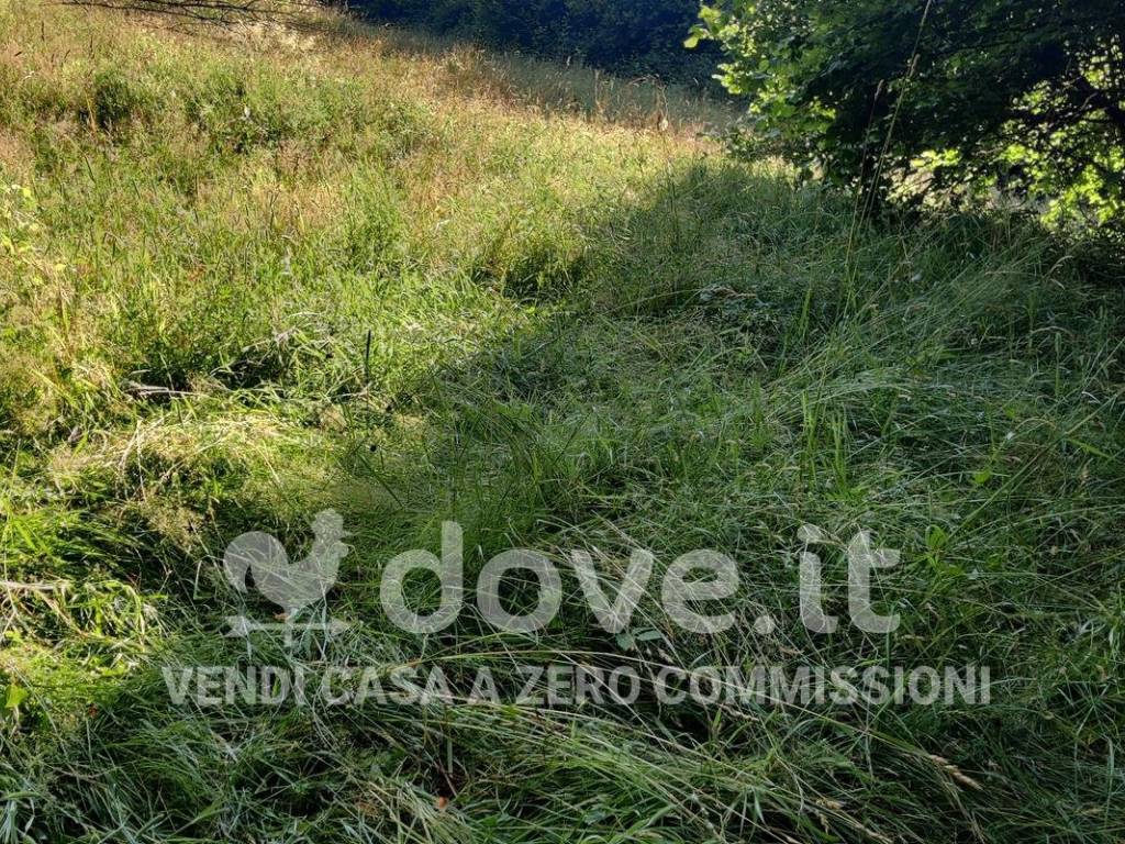 Rustico / casale a Taleggio - Foto 4