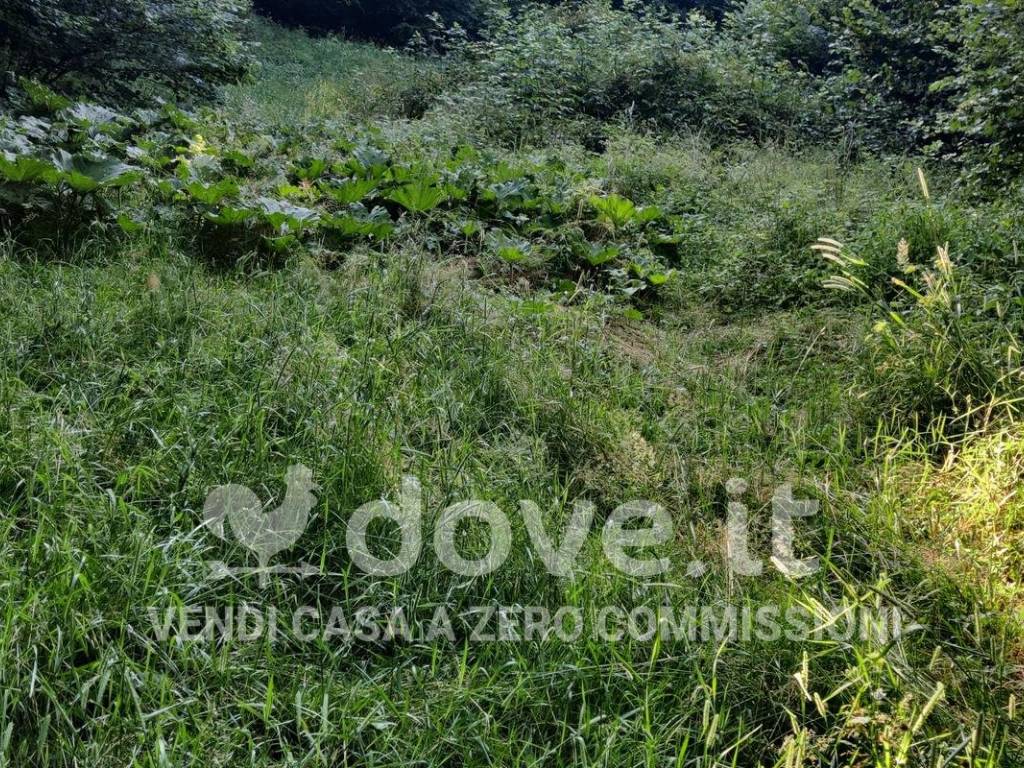 Rustico / casale a Taleggio - Foto 5