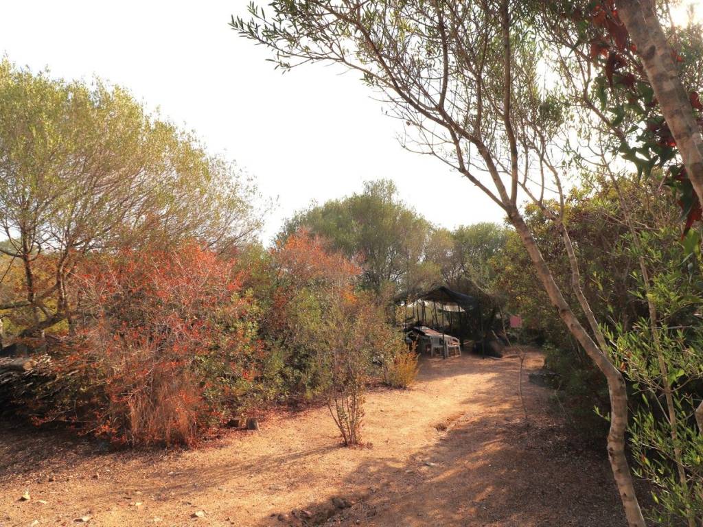 Terreno a Tortolì in Via Tirreno, SNC - Foto 5