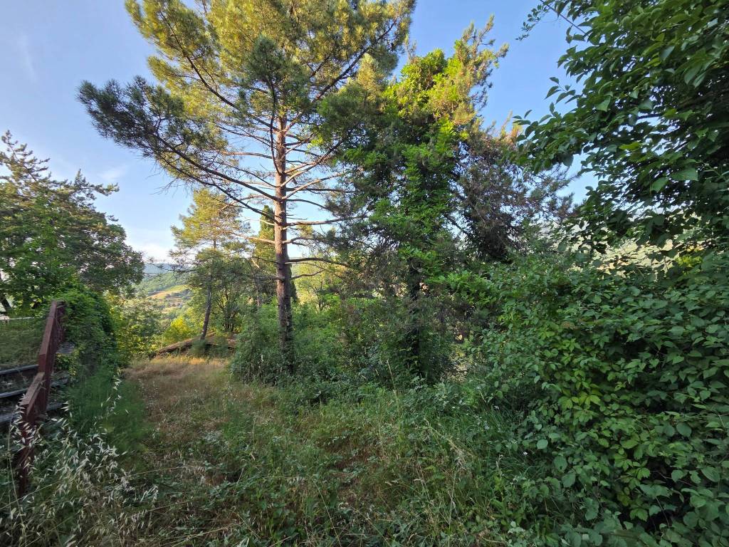 Rustico / casale a Capolona in Località Lama - Foto 4